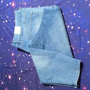 NWT Lane Bryant Signature Fit Skinny Jeans 22 Petite Mid-Rise Distressed